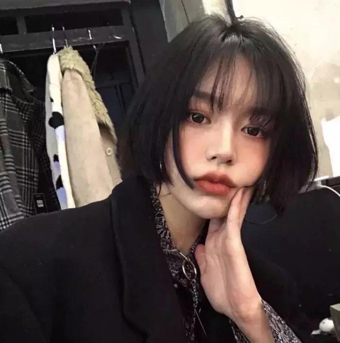 狗仔杜宾